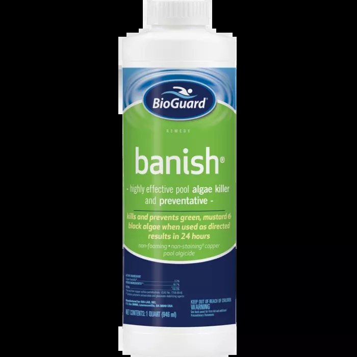 BioGuard Banish Algaecide 1 Quart