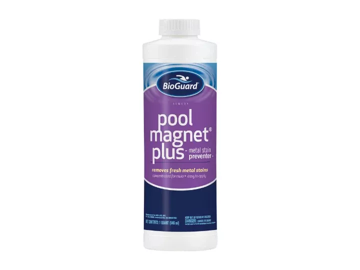 BioGuard Pool Magnet Plus - metal stain preventer