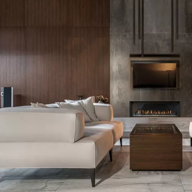 D4815 Gas Fireplace