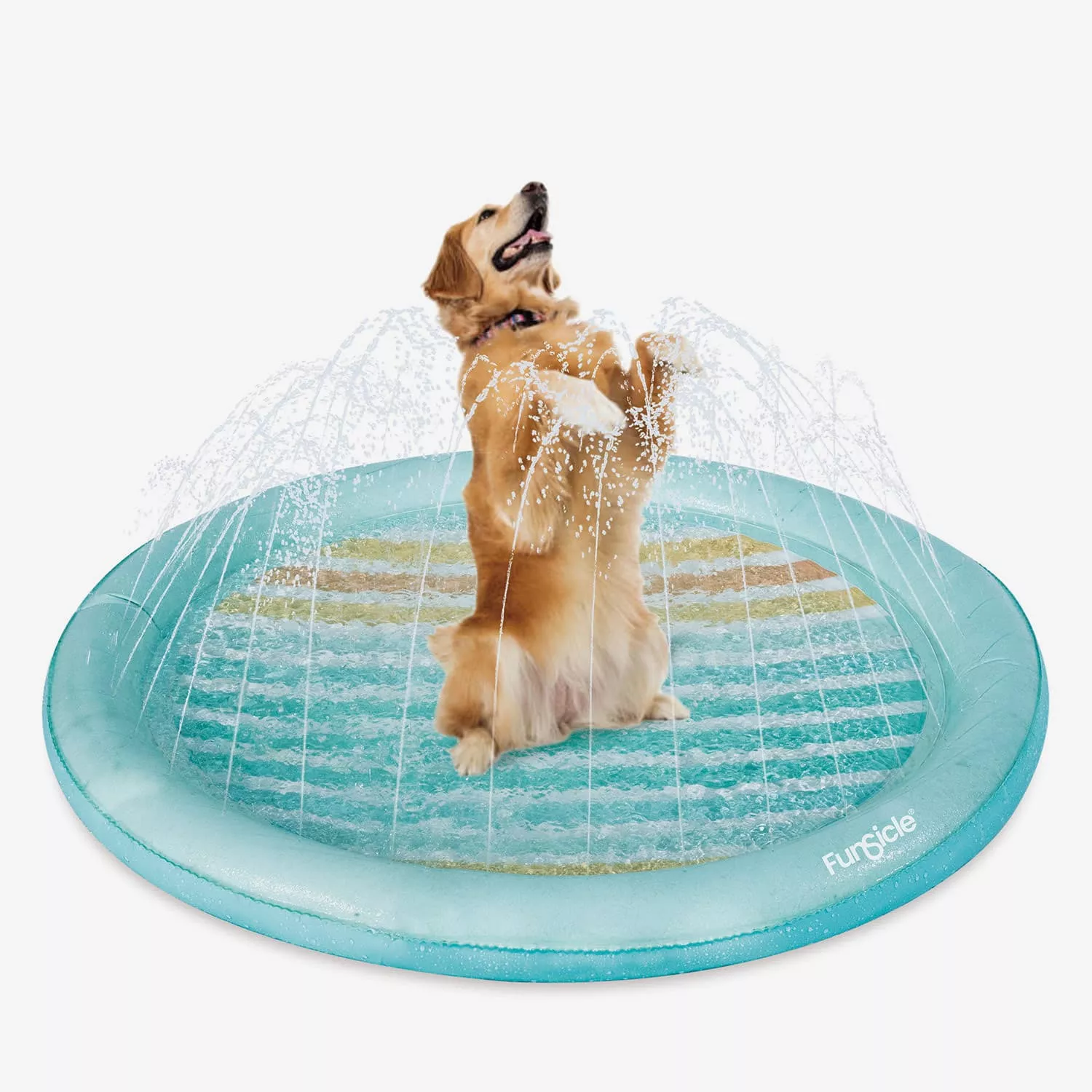 Funsicle Paws Splash Pad