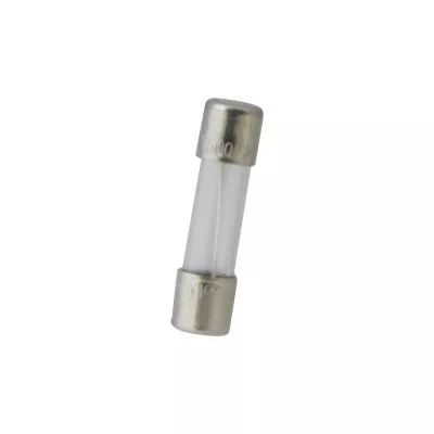 Glass Time Delay Fuse .5A 250V Mini Cartridge