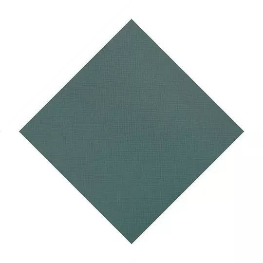GLI – Original Mesh Safety Pool Cover 20×40 Ft Rectangle With Center Step