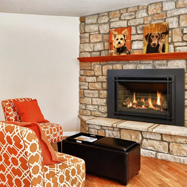 Kozy Heat Chaska 335S Gas Insert