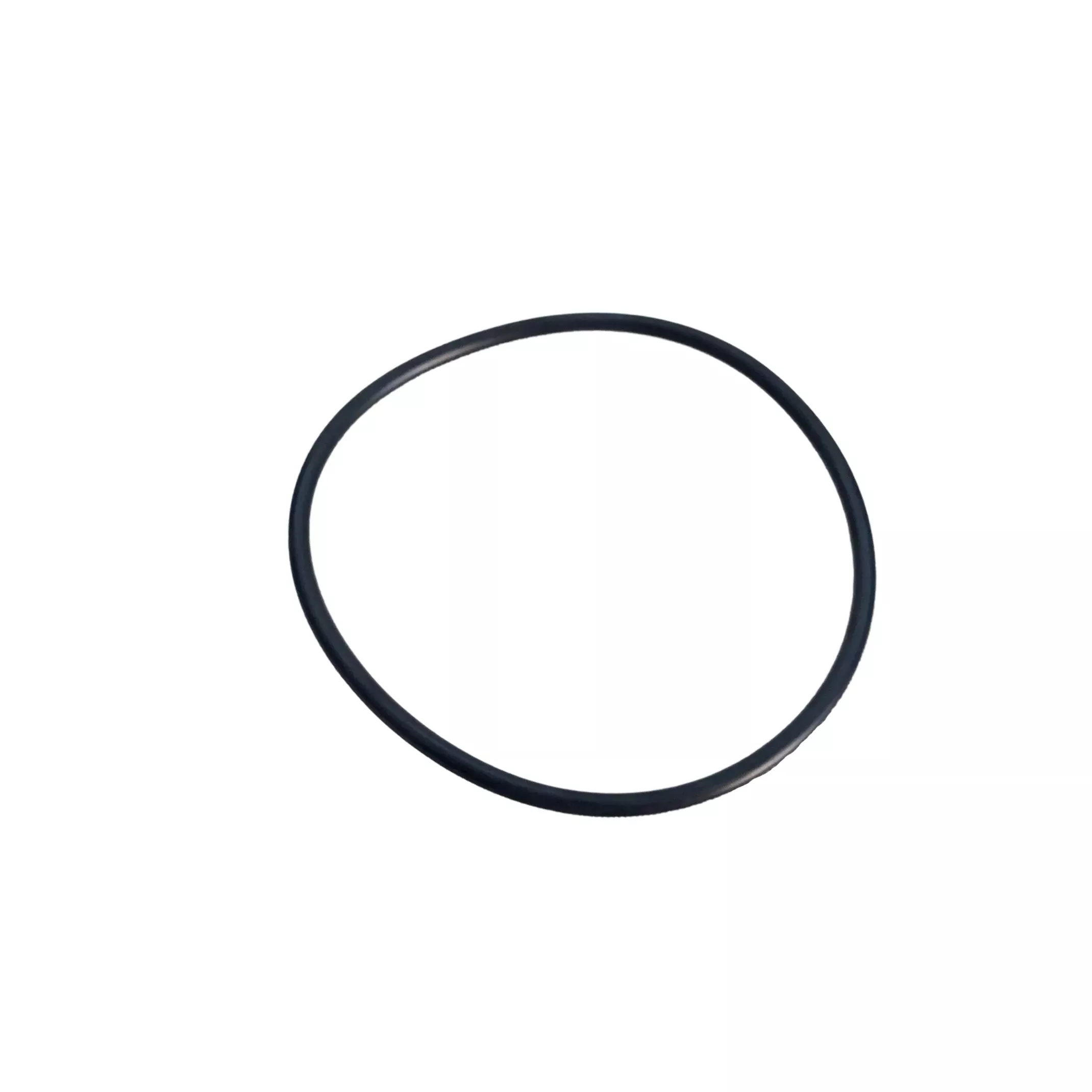 Part 73300SORING Small Internal O-Ring for 73150 & 73300 Variable Speed Pumps