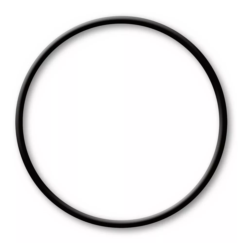 Part 87507 Lid Gasket O-Ring for Model 87501 Automatic Chlorine Feeder