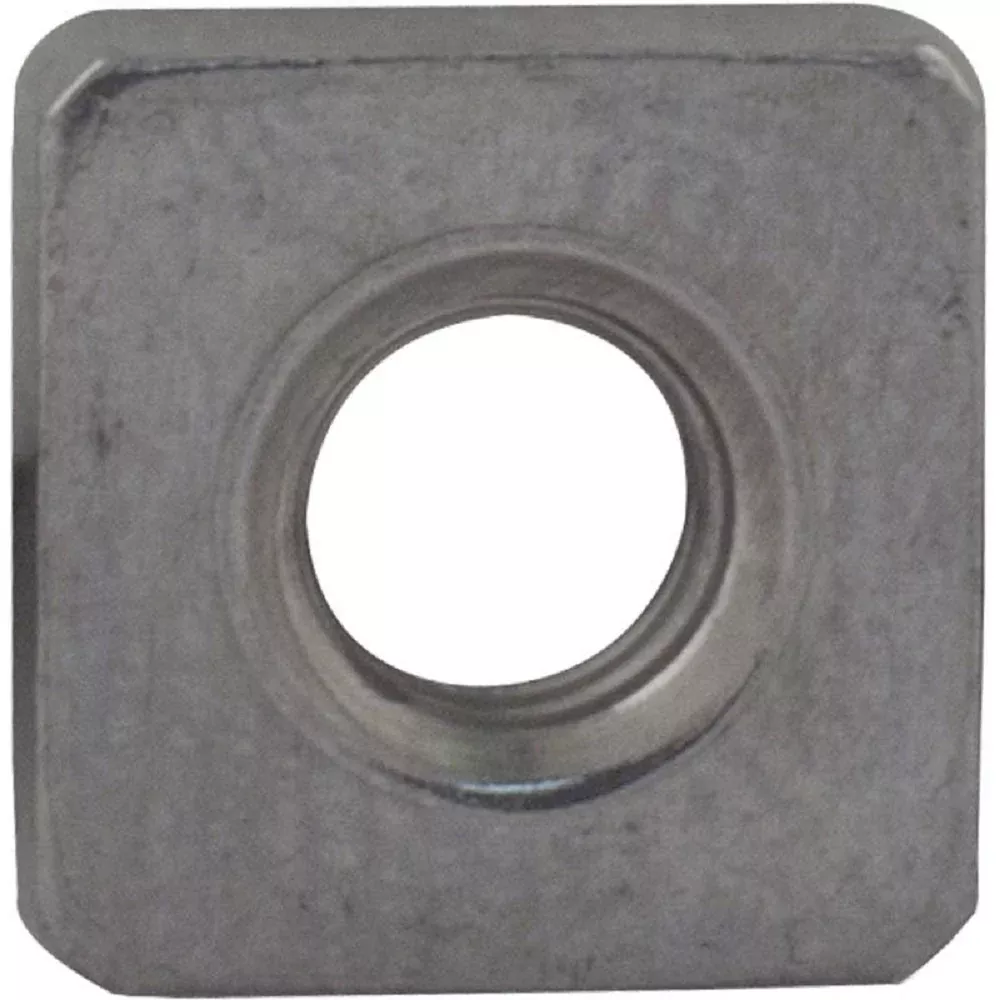 Pentair 354542 Stainless Steel Nut