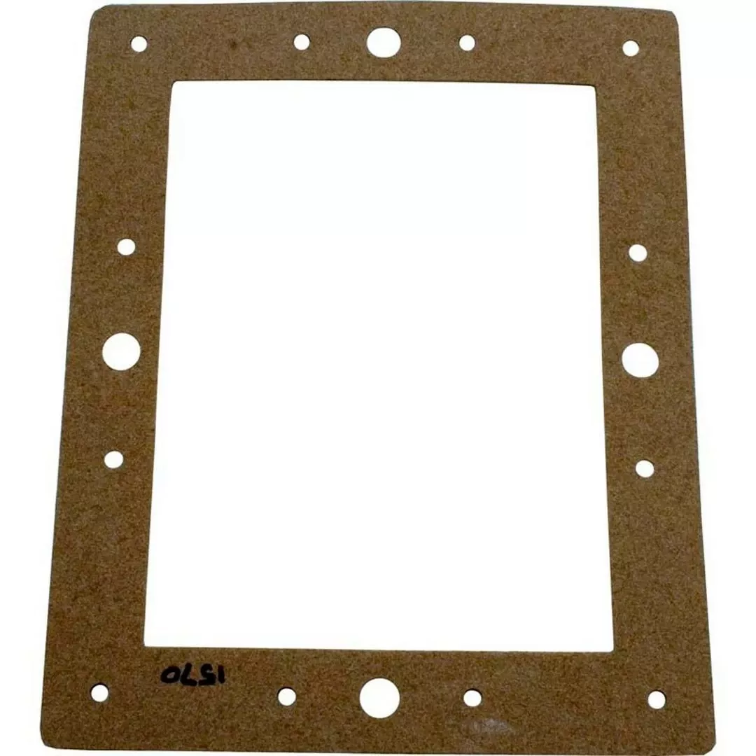 Pentair – Gasket, Standard Throat