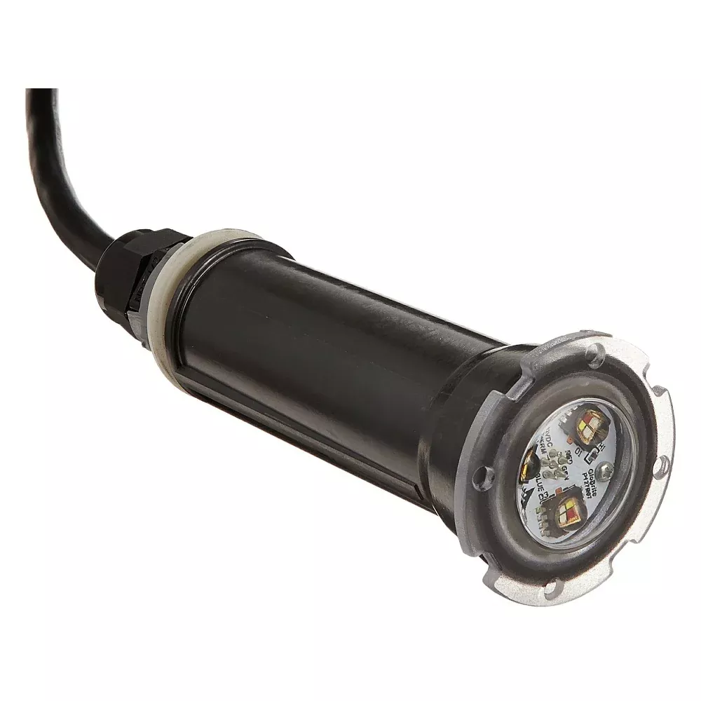 Pentair Globrite Color LED Light - 12v - 100' Cord