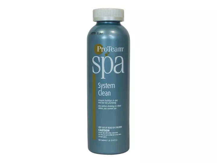 ProTeam System Clean - 1 Pint