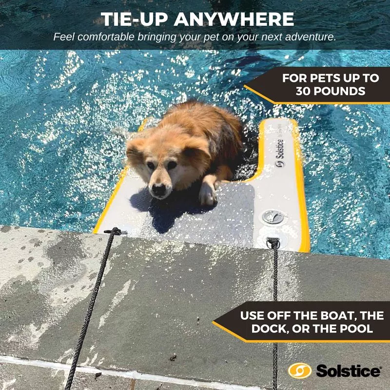 Pup Plank Mini