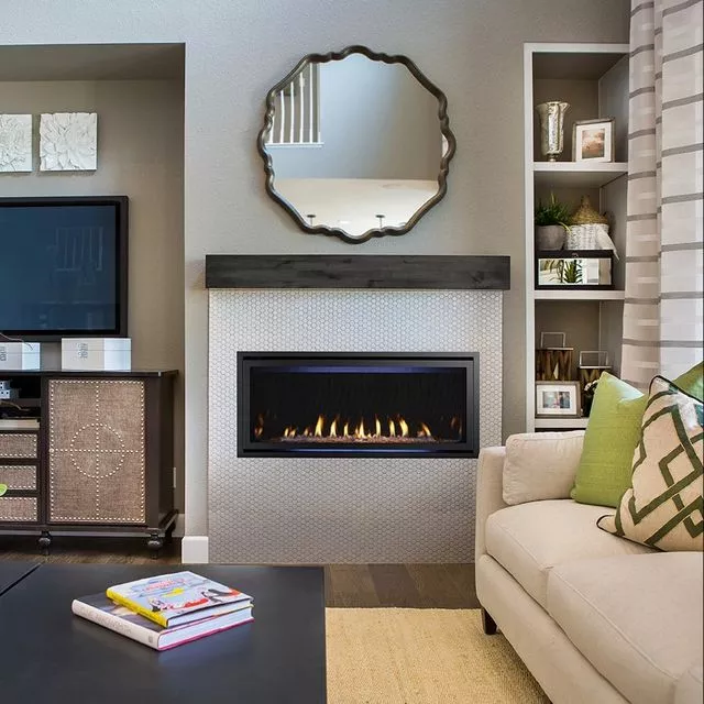 Rave 42 Gas Fireplace