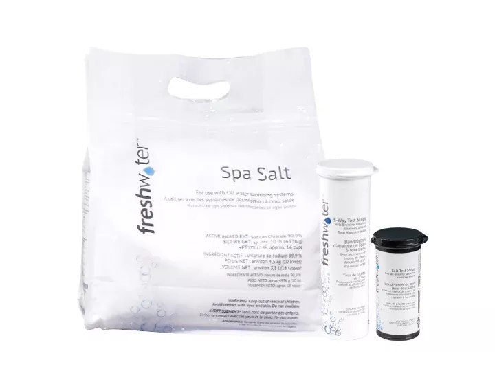 Salt System Maintenance Kit