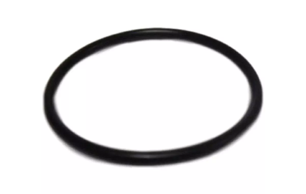 Union Kit Tailpiece O-Ring 9234000