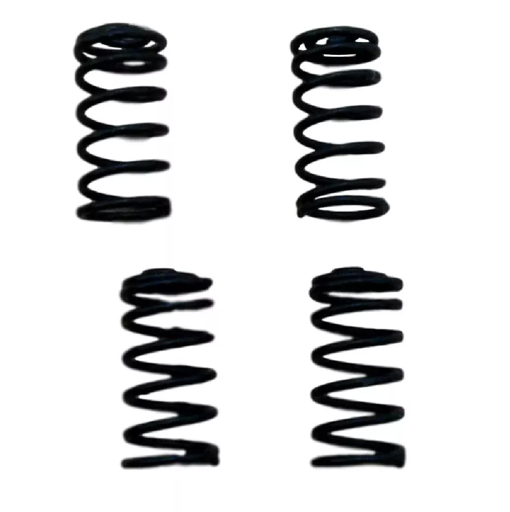 Wagner F35203S Brake Hold Down Springs