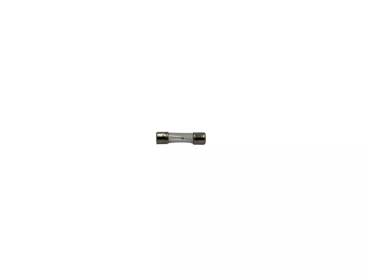 Watkins Wellness 2A 250V Fuse 302556