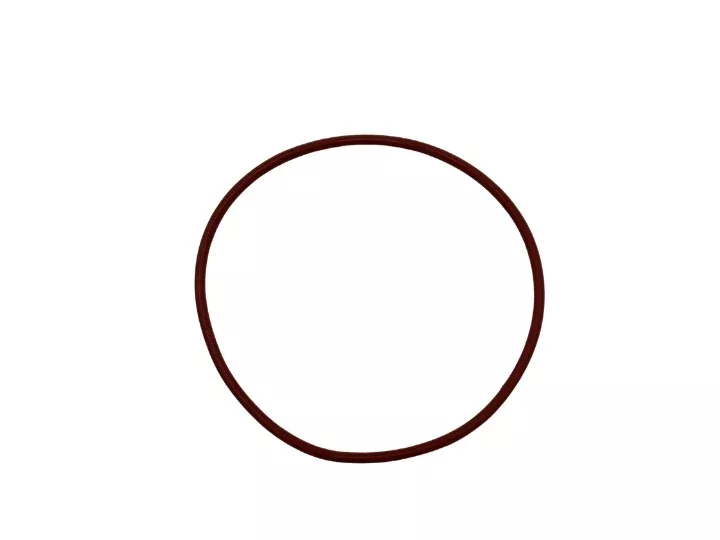 Watkins Wellness Light Lens Gasket 38288