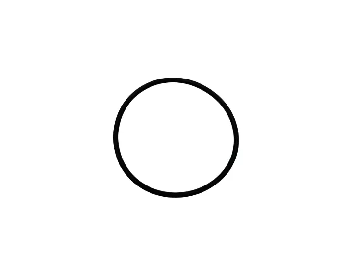 Watkins Wellness O-Ring 2" Diverter 34319