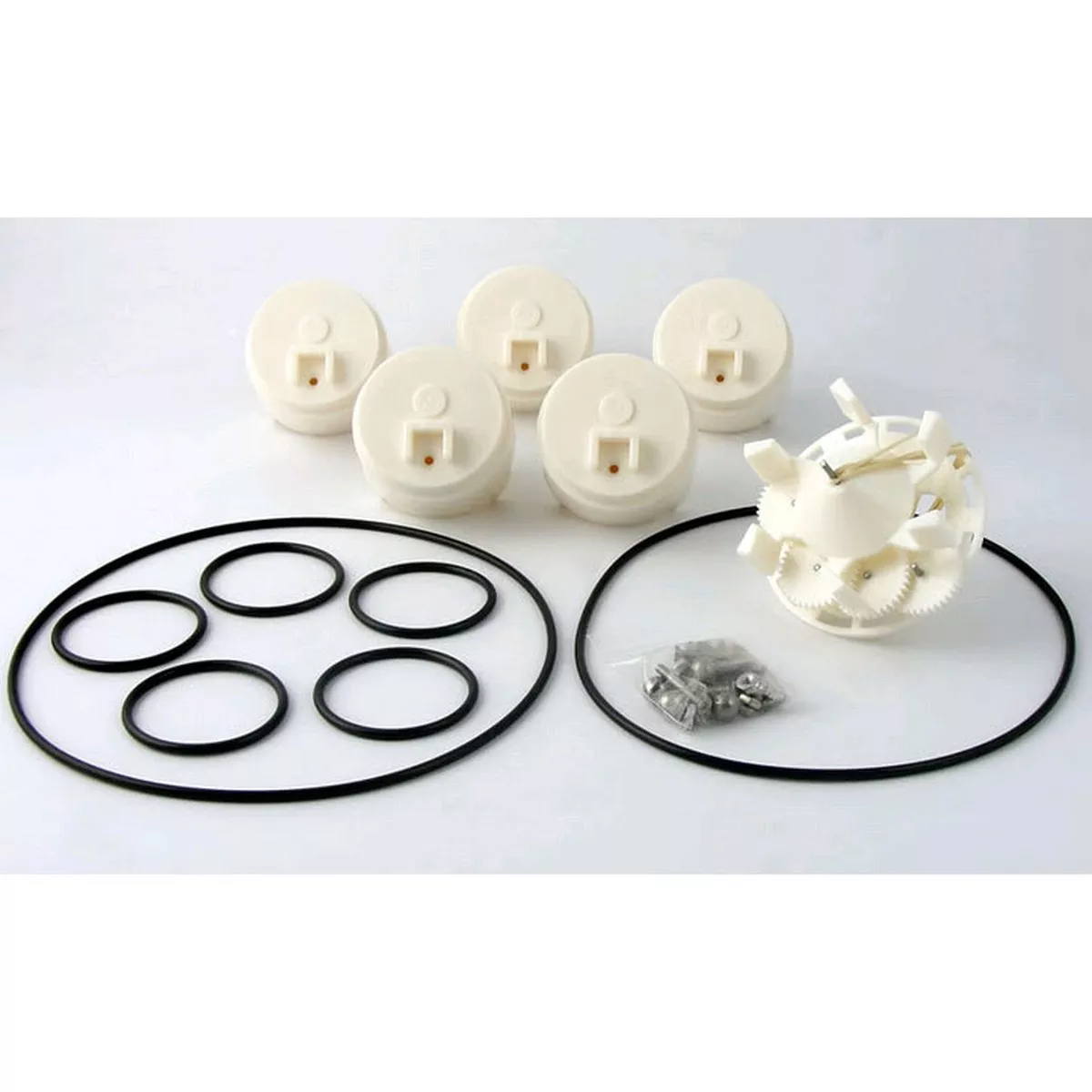 Zodiac Caretaker Rebuild Kit | 37020